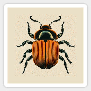 Beetle Magnet